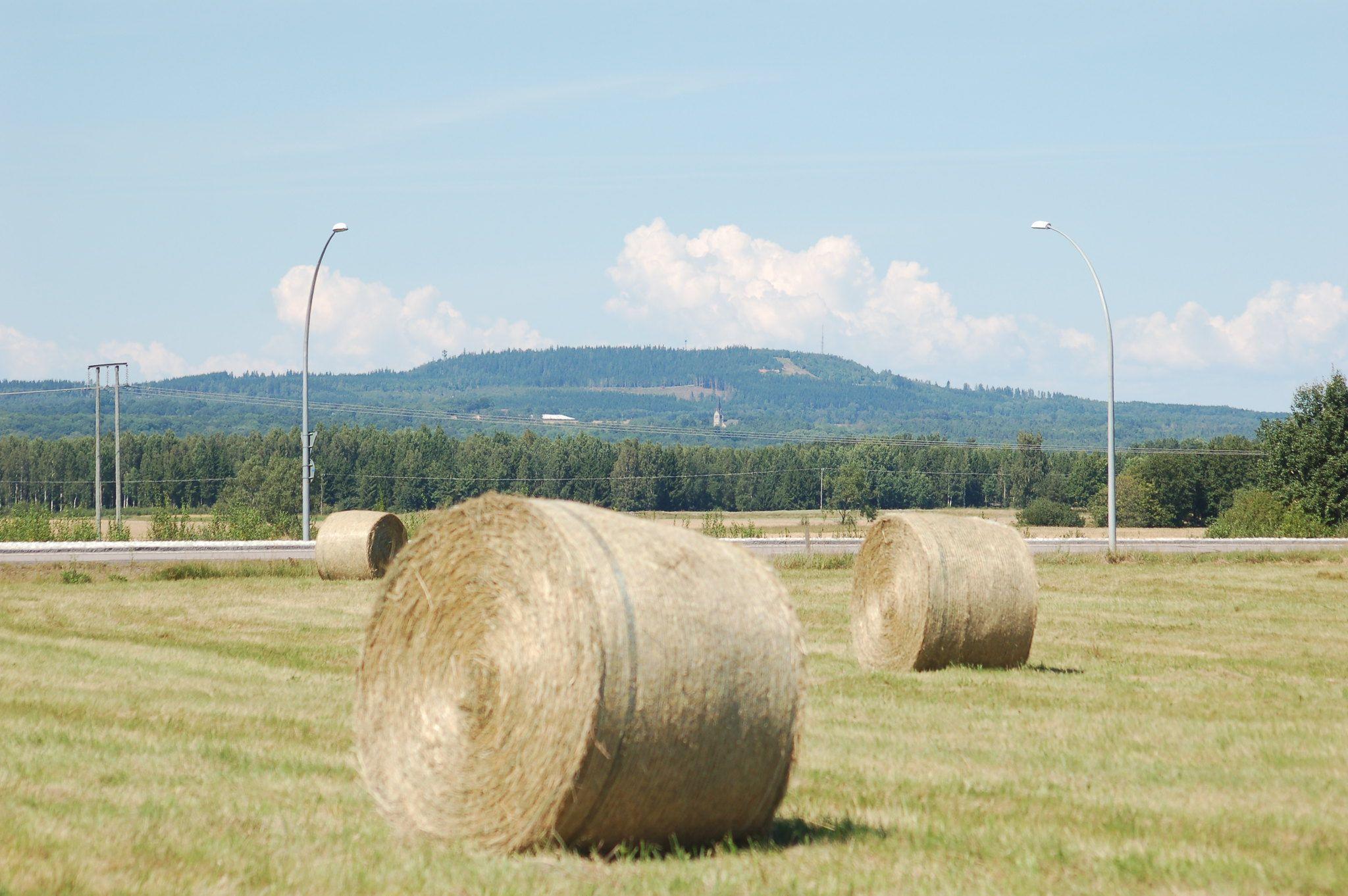 Götene municipality resumes land sales on August 7th