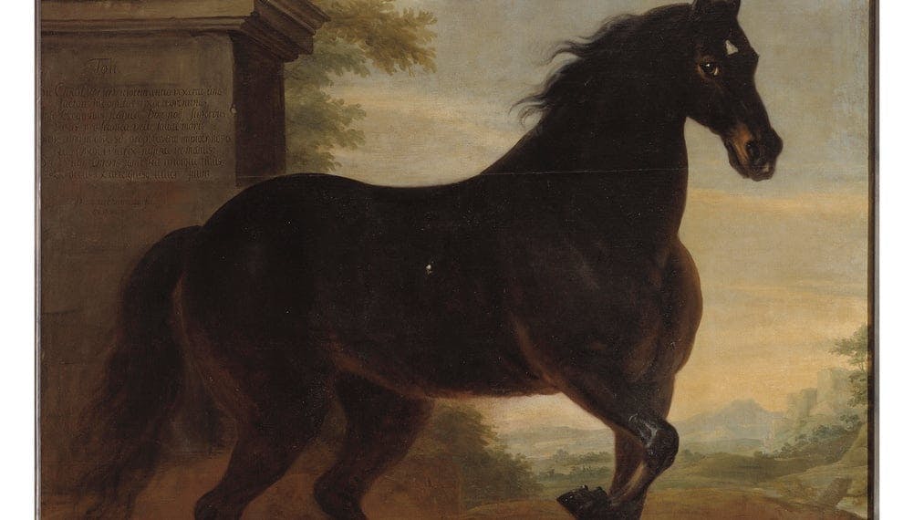 Loaned horse art adorns Versailles during the Olympics