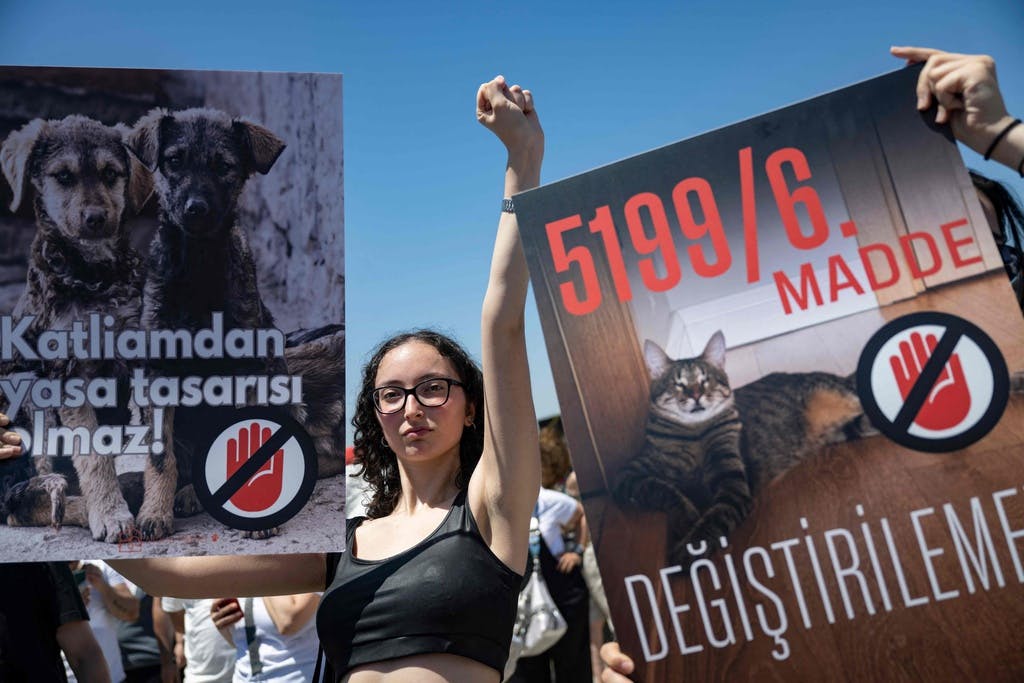 Thousands in protest against Turkish "dog massacre"