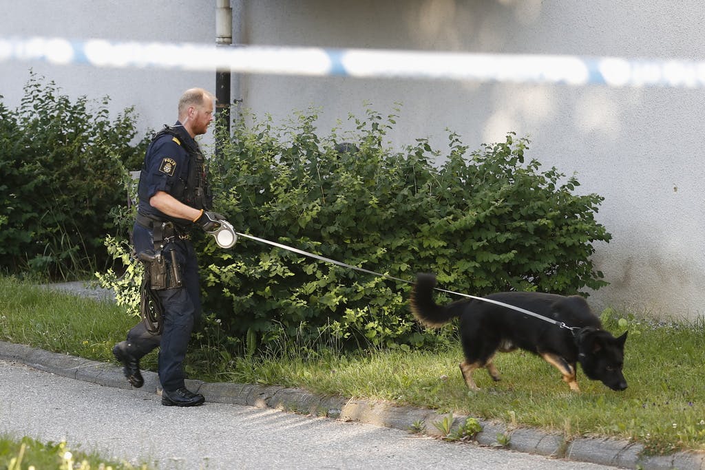 No Arrests After Fatal Shooting in Södertälje