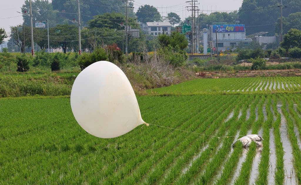

"Parasites in North Korean Balloons Sent to South"