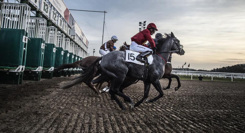 Accident in starting gates stopped gallop racing