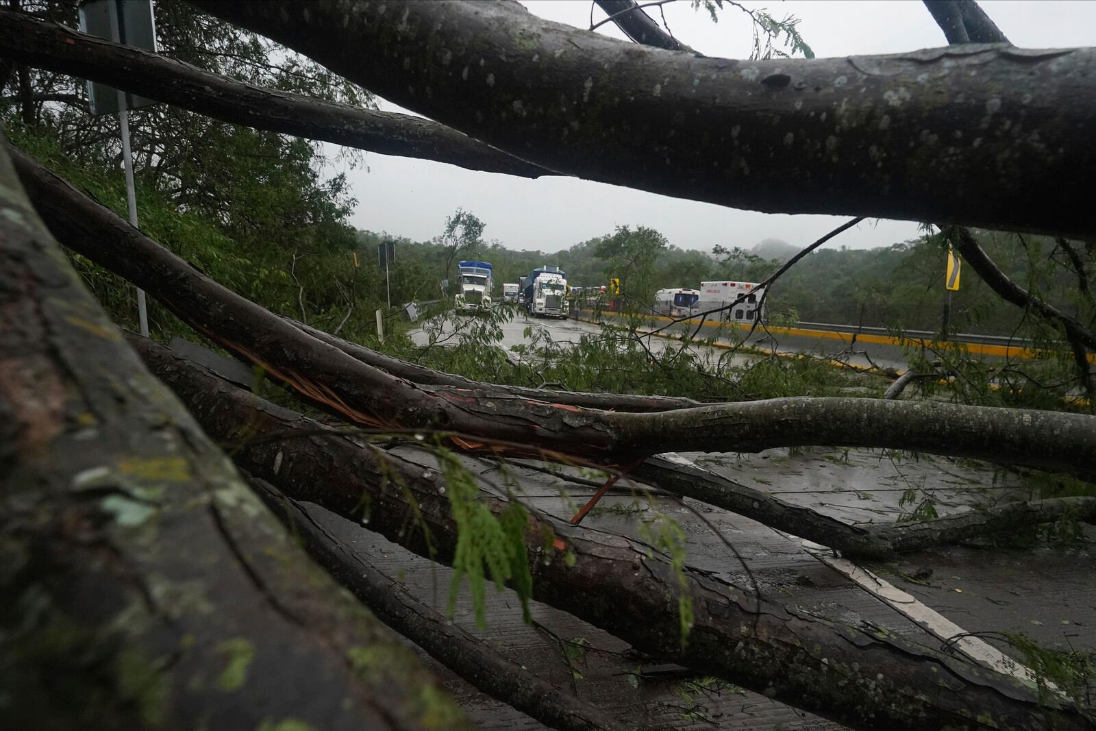 Many dead in two landslides in Mexico