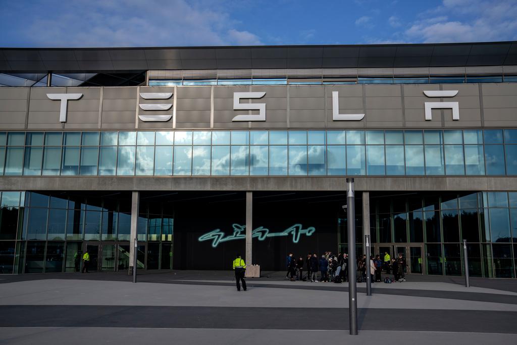 Half a Million Trees Felled for Tesla's Factory