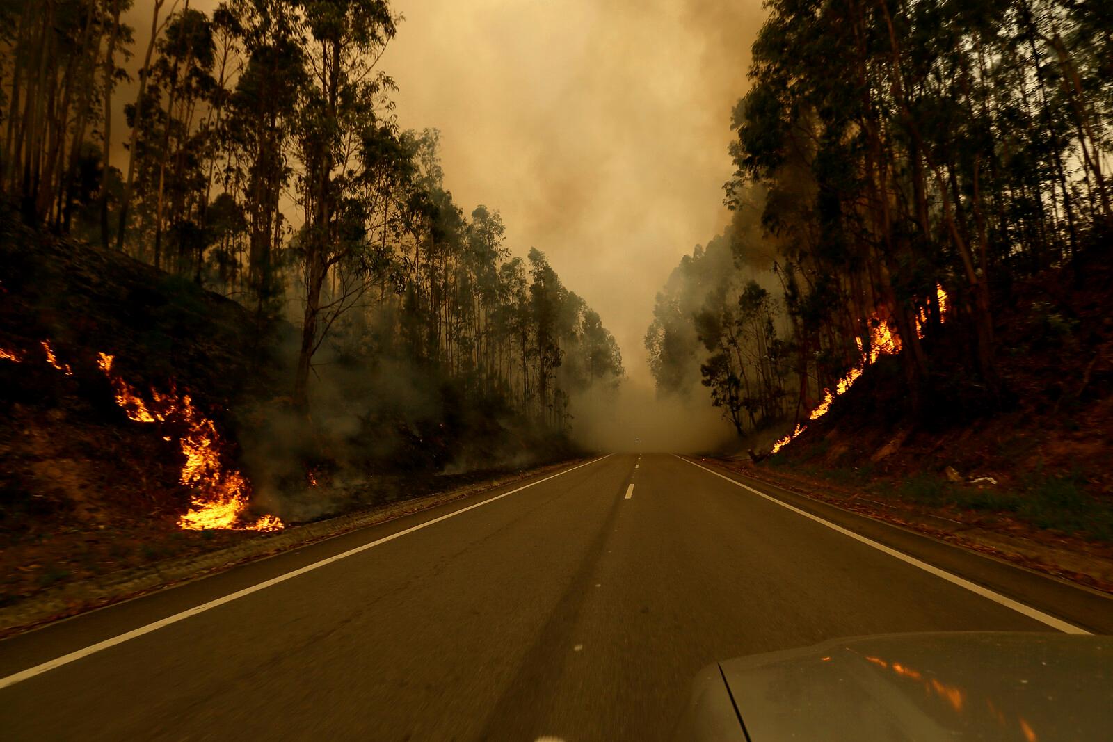 Inferno in Portugal: Firefighters Trapped in the Flames