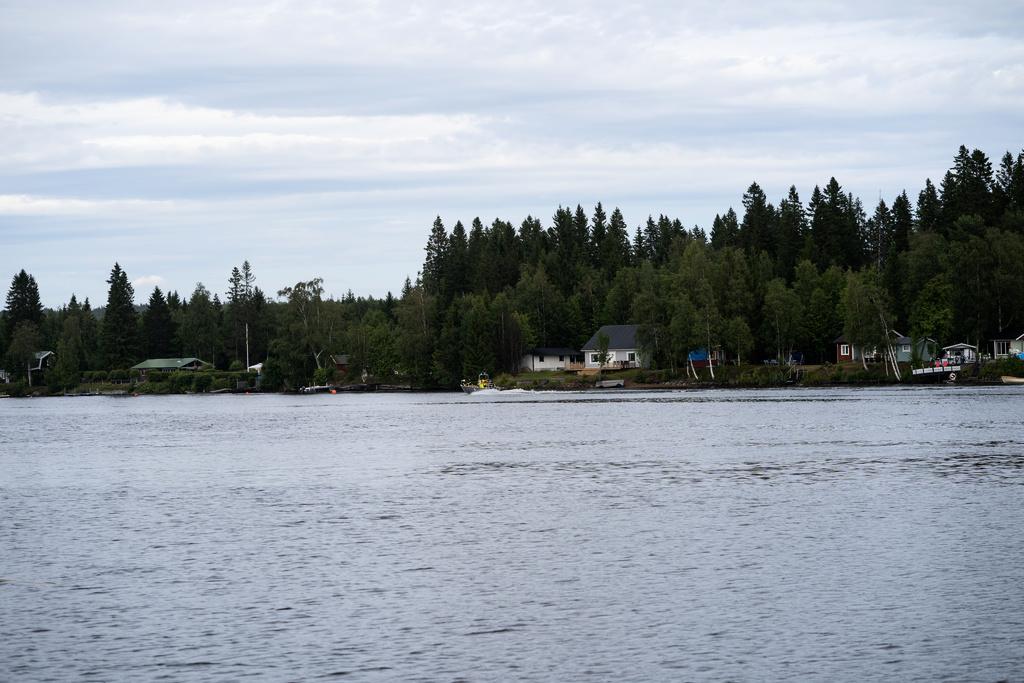 Bird caused large sewage discharge in Umeå