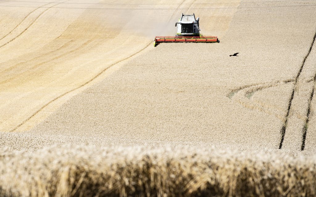 Agriculture in Denmark to be subject to carbon tax