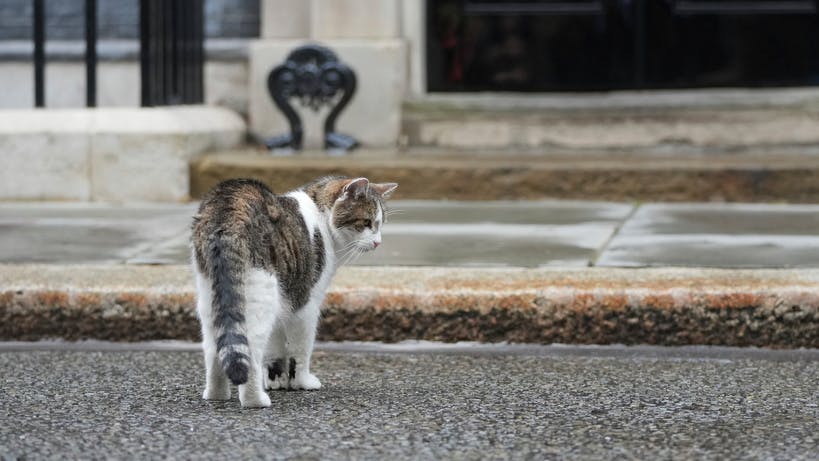 Cat Larry has survived five prime ministers