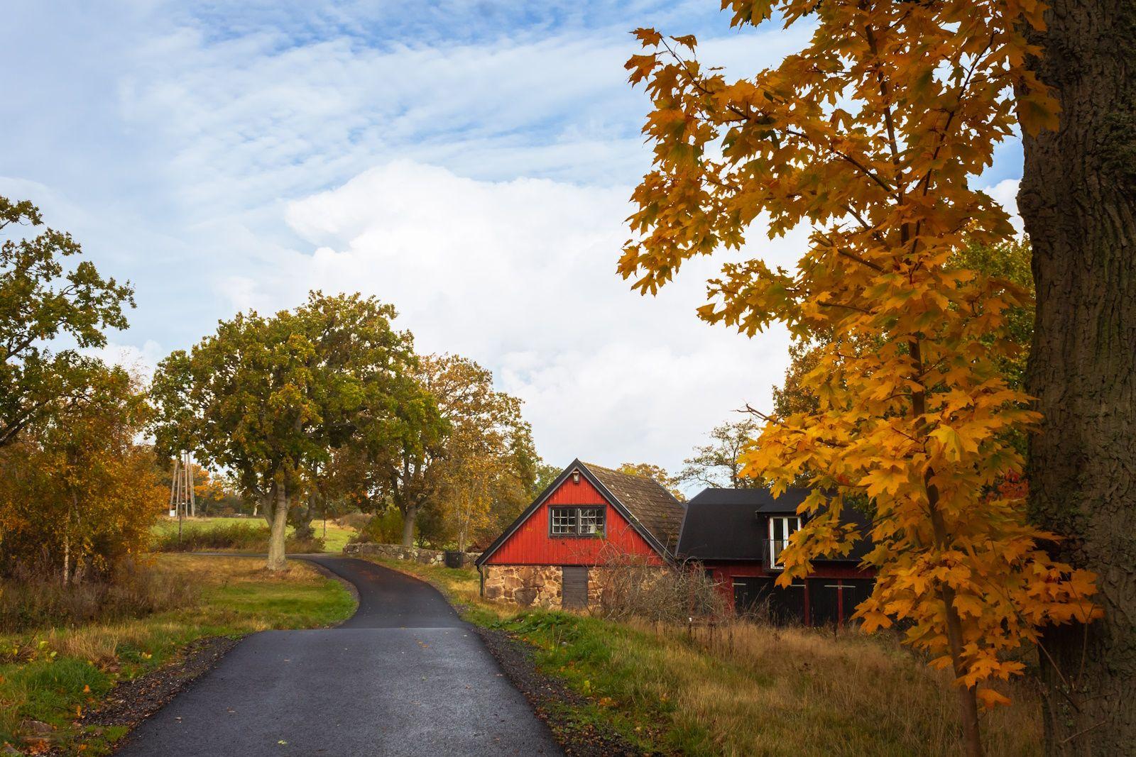 Cozy Autumn Activities 