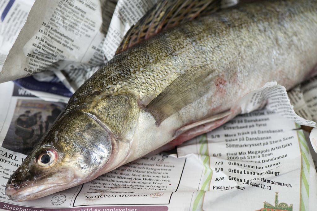 Pike-perch, Smoked Ham, and Arctic Char Receive EU Protection